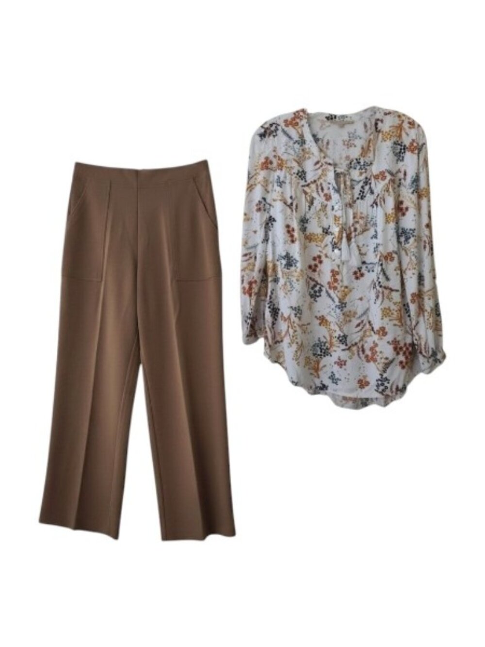 Max Studio Small Pants (Raw Hem) & My Danielle Blouse